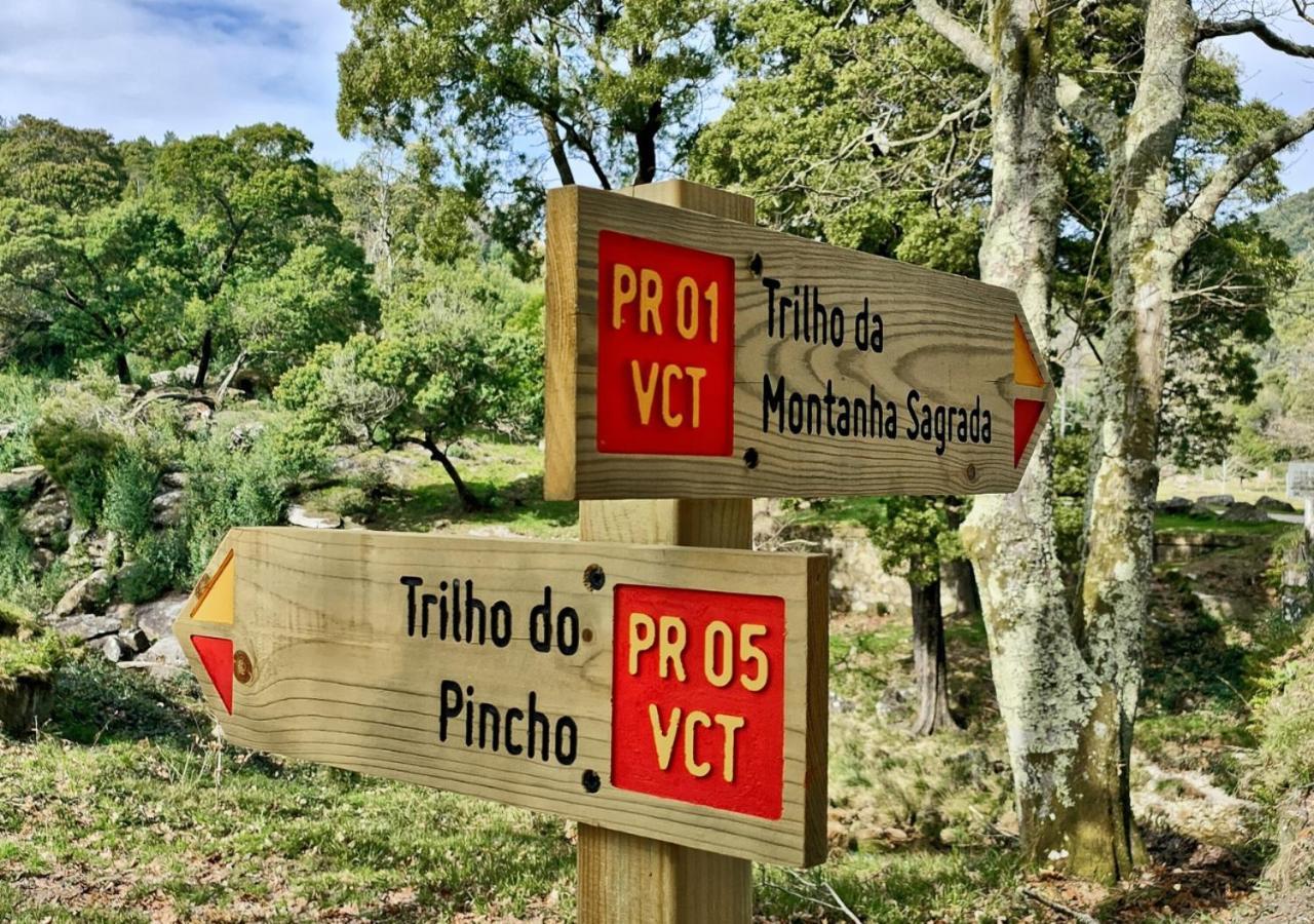 Vila O Sossego Da Montaria Viana do Castelo Exteriér fotografie